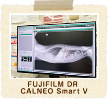 FUJIFILM DR CALNEO Smart V